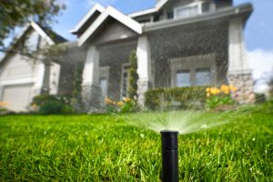 Residential Sprinkler Service in Queen Creek